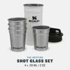ADVENTURE PRE-PARTY SHOT GLASS + FLASK SET